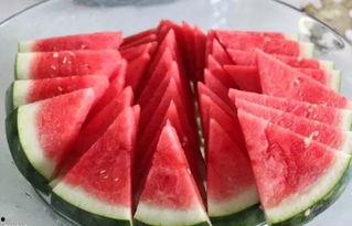 打工人吃瓜吃饼图,生活百态的趣味缩影 第2张 打工人吃瓜吃饼图,生活百态的趣味缩影 第2张